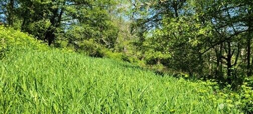 Property Photo:  825  99th Avenue SE  WA 98258 