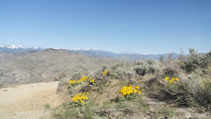 Property Photo: 33 Avery Road WA 98834