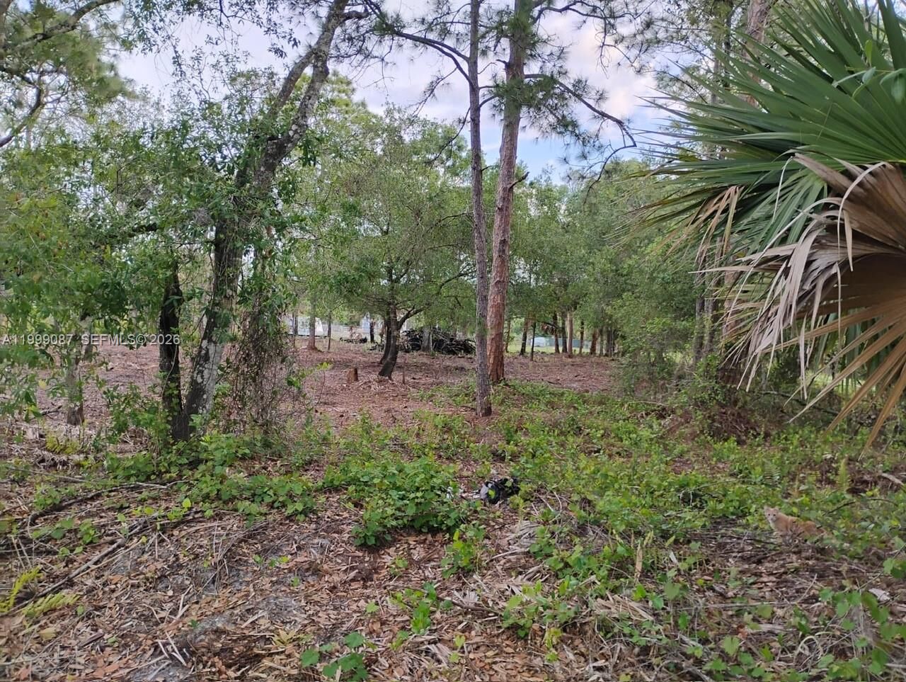 Property Photo:  845 Appaloosa Avenue  FL 33440 