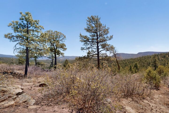 Property Photo: 30 Monte La Cueva Road NM 87535