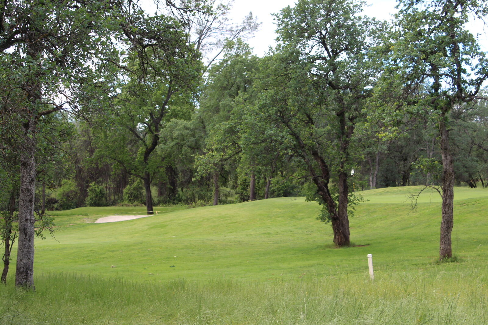 Property Photo:  19387 Palermo Court  CA 96003 