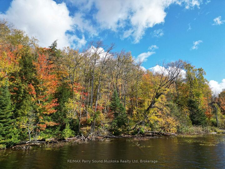 Property Photo: 353C Balsam Creek Road ON P0H 1S0