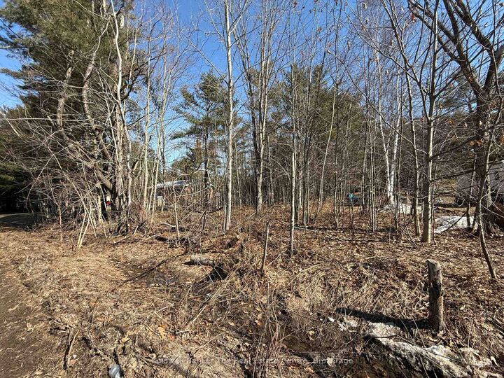 Vacant Lot Pinedale Road — photo 1