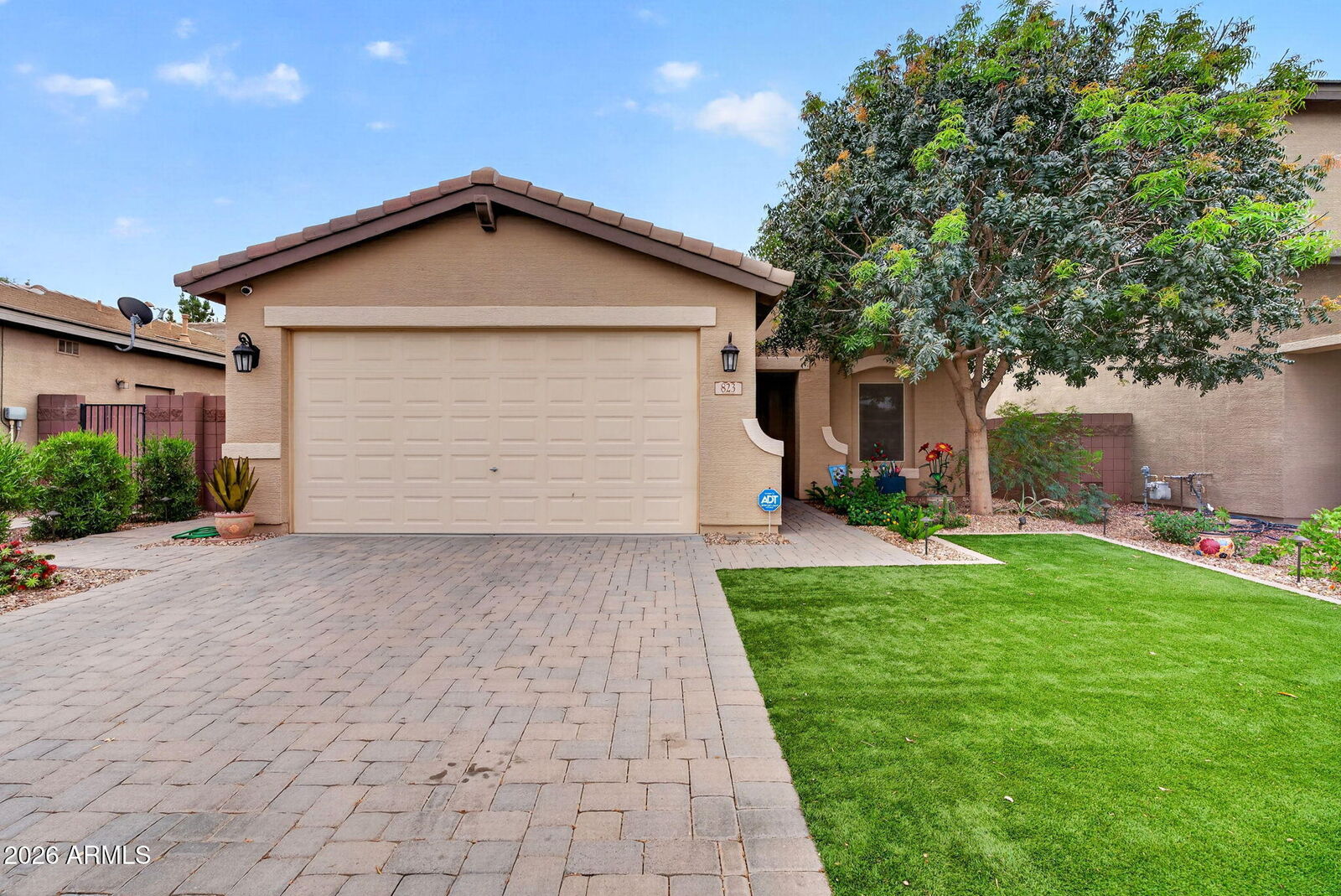 Property Photo:  823 W Leadwood Avenue  AZ 85140 