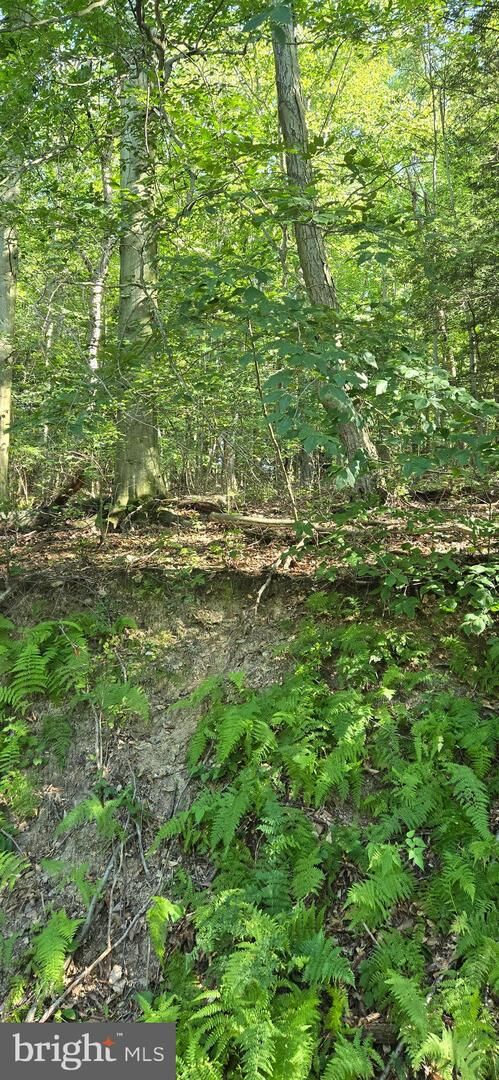 Property Photo: 0 Ridge Road PA 17930
