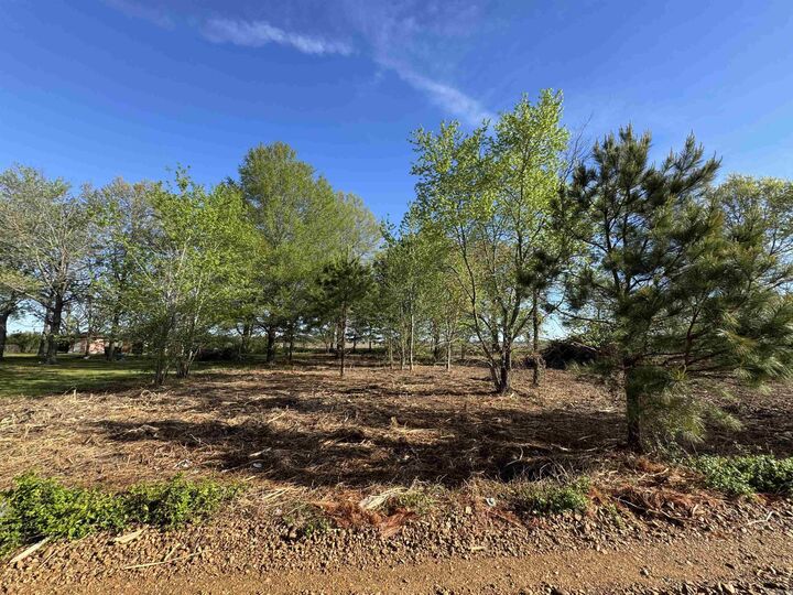 Property Photo:  Lot 57 Cr 236  AR 72324 