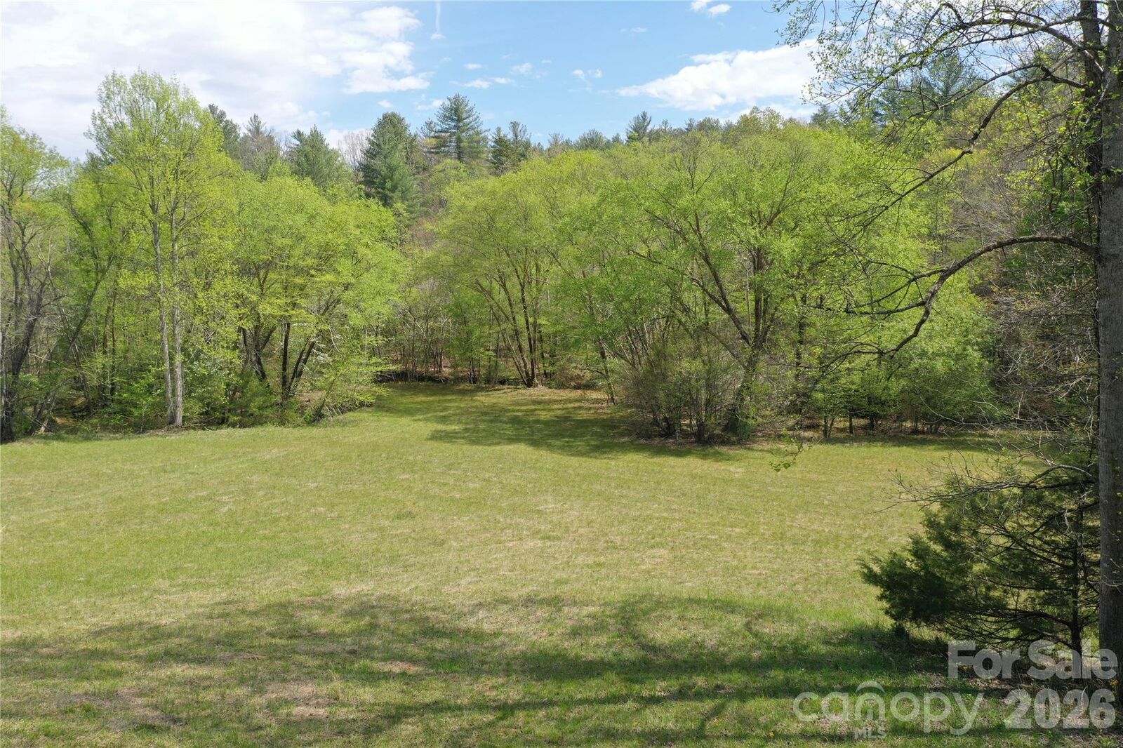 Property Photo:  4017 Piney Road  NC 28655 