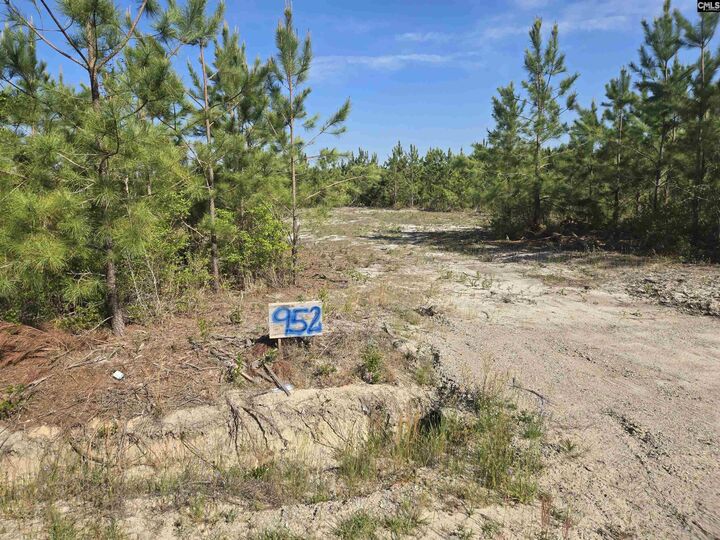 Property Photo:  952 Mt Zion  SC 29020 