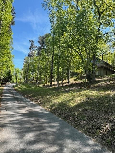 Property Photo:  0 Royal Lodge Circle  GA 31830 