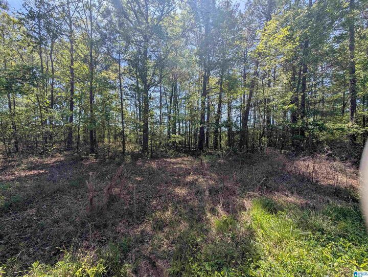 Property Photo:  0 Paradise Avenue 11  AL 35903 