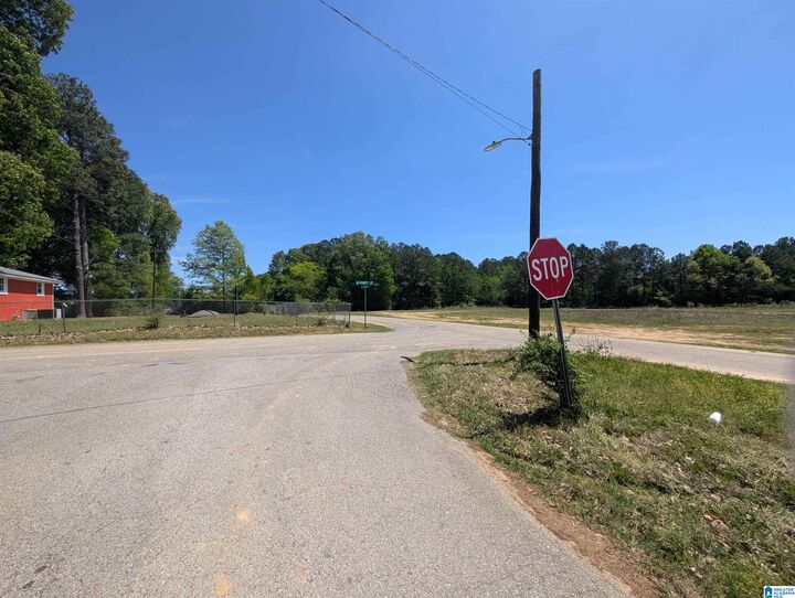 Property Photo:  0 McKinney Street 0  AL 35904 