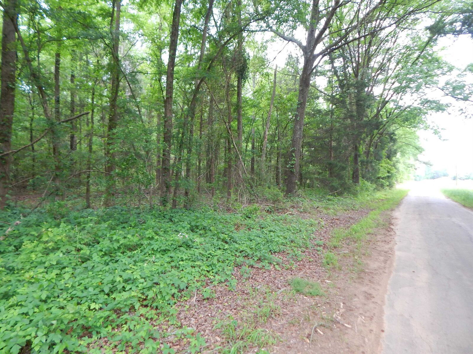 Property Photo:  Tbd 3.07 Acre Woodchuck Rd.  TX 75686 