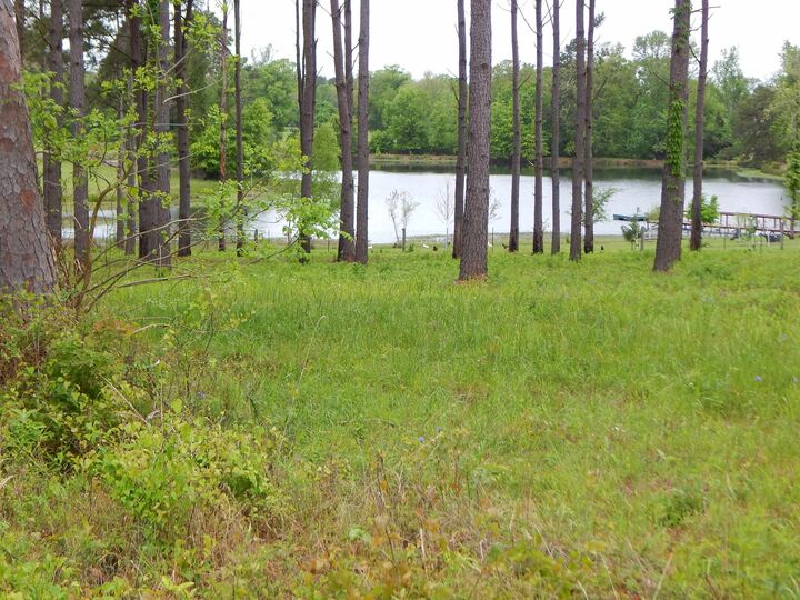 Property Photo:  Tbd Cardinal Court  TX 75640 