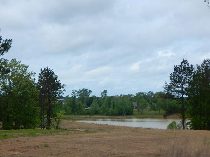 Property Photo: Tbd Cardinal Court TX 75640