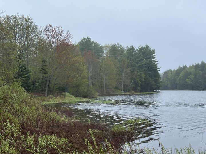 Property Photo:  2 S Union River Road  ME 04605 