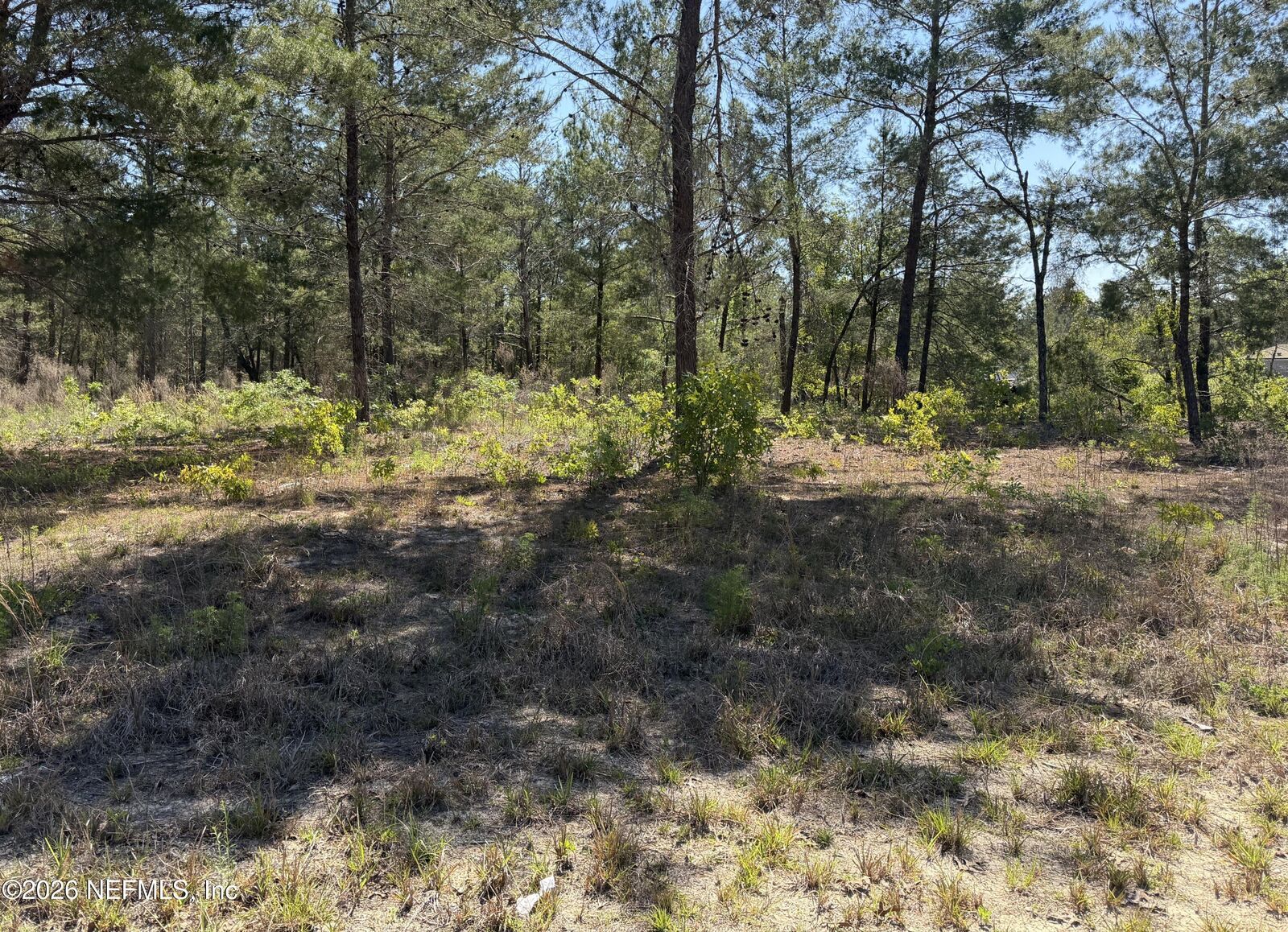 Property Photo: 7577 Casa Grande Boulevard FL 32656