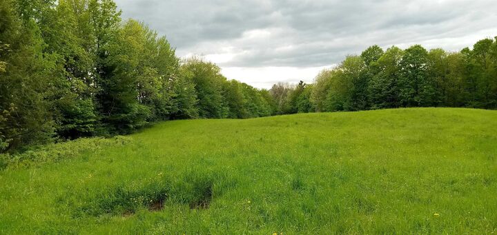 Property Photo: 656 Lower Elmore Mt. Road VT 05661
