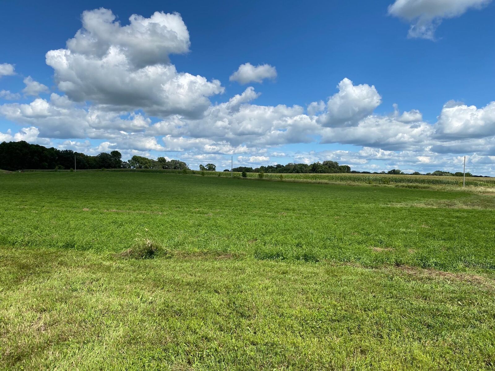 Property Photo:  Lot 2 Blk 2 Serenity Drive SW  MN 56308 