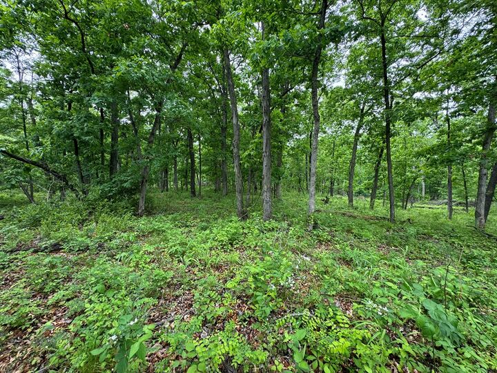 Property Photo:  Xxx State Highway A & Cardinal Way  MO 63546 