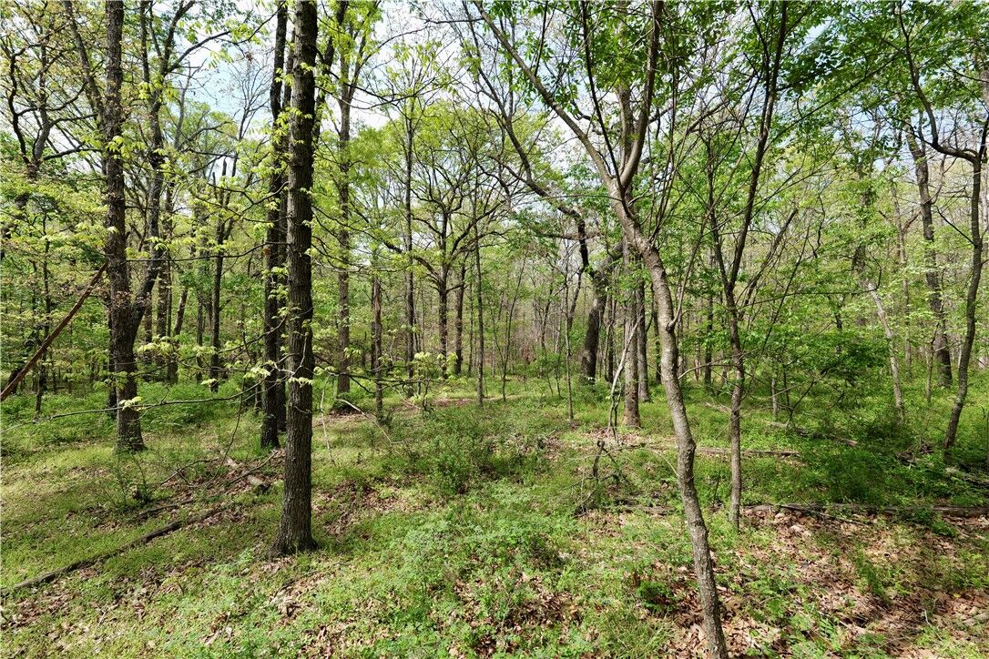Property Photo:  Lot 23cc Hummingbird Road  AR 72736 