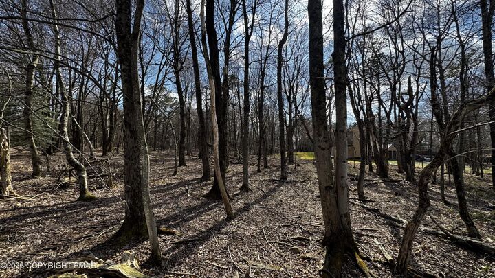 Property Photo:  Stony Mountain Road  PA 18210 