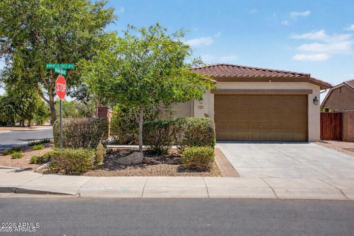 Property Photo:  945 W Empress Tree Avenue  AZ 85140 