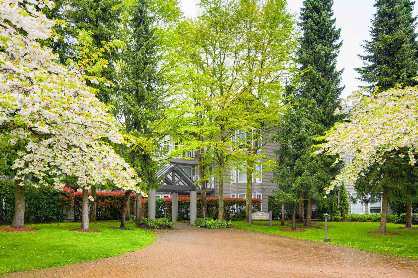 Property Photo: 15150 108 Avenue 206 BC V3R 0V1