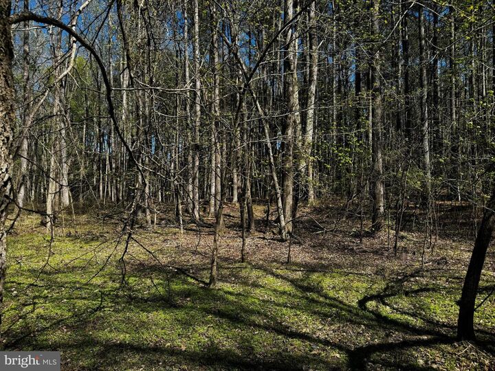 Property Photo:  0 Public Landing Road  MD 21863 