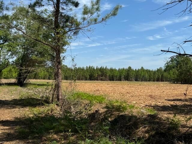 Property Photo: 1371 Justice Loop SC 29569