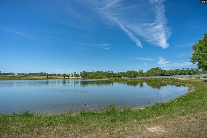 Property Photo:  225 Burma  SC 29072 