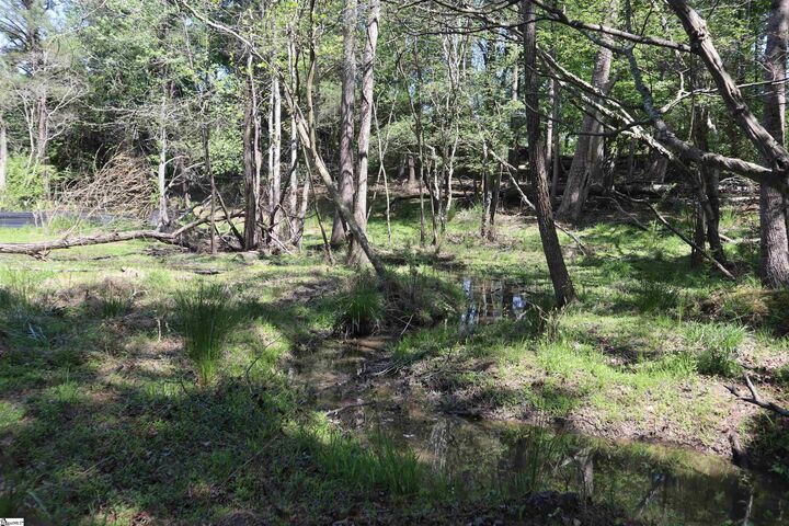 Property Photo:  0 Old Canaan Tract 6 Road  SC 29306 