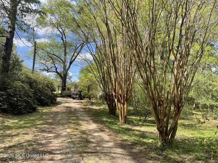 Property Photo:  91 Charles Mitchell Road  MS 39470 