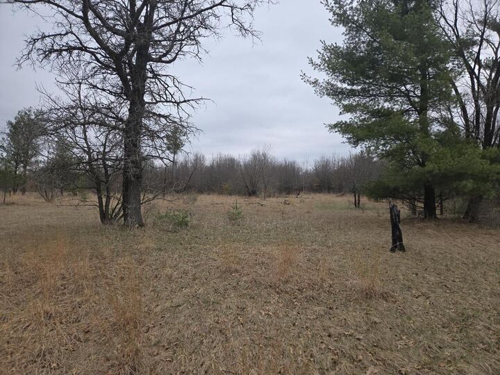 Property Photo:  826 County Road C  WI 54943 