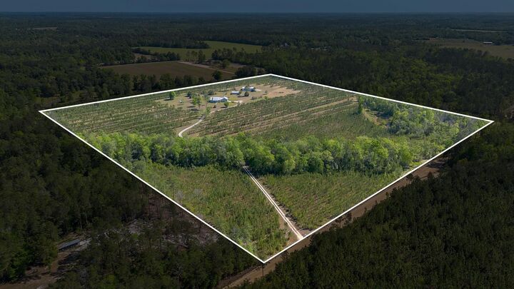 Property Photo:  505 Goodson Road  FL 32351 