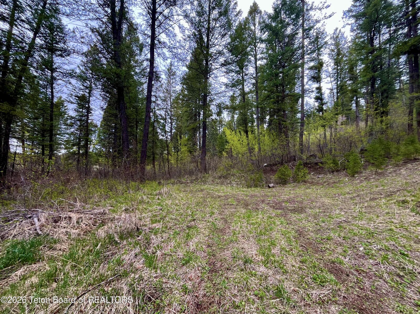 Property Photo:  .88 Acres Lone Star Road  WY 83112 