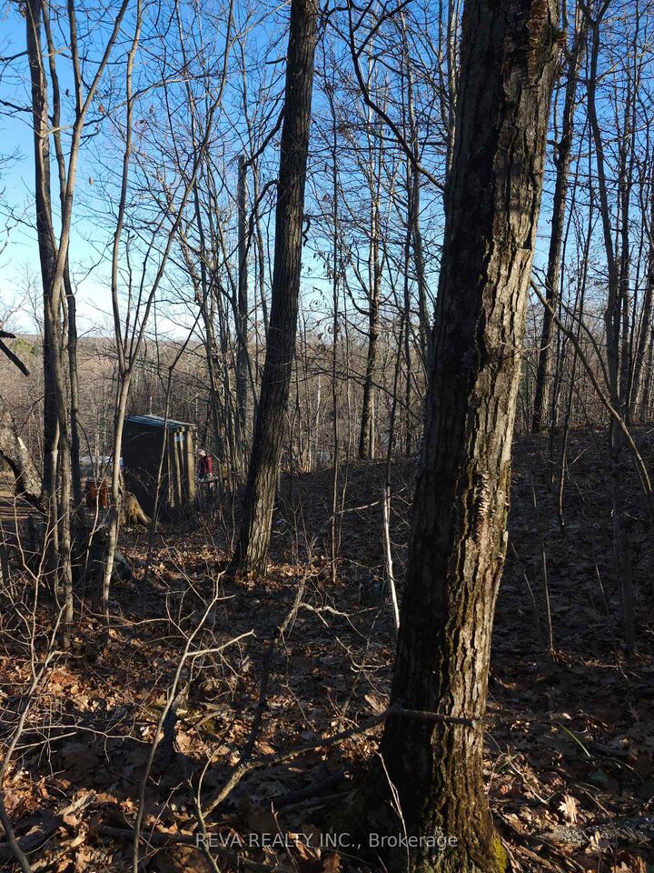 Property Photo: 00 Baker Valley Road ON K0H 0B6