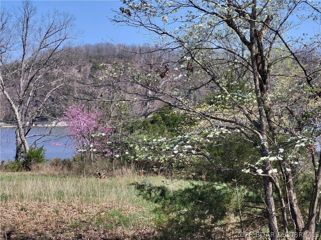 Property Photo:  Emerald Hills Drive Phase 4 Lot 4  MO 65326 