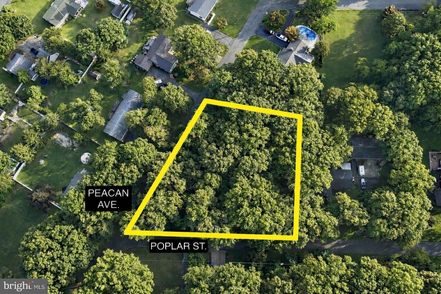 Property Photo:  902 Poplar Street  DE 19963 