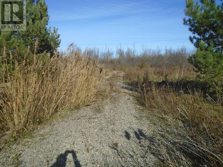 Property Photo:  49 Rideau Avenue  ON K7A 4W1 