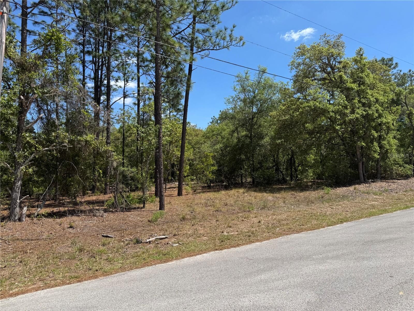 Property Photo: Lot 2 SW 206 Avenue FL 34431