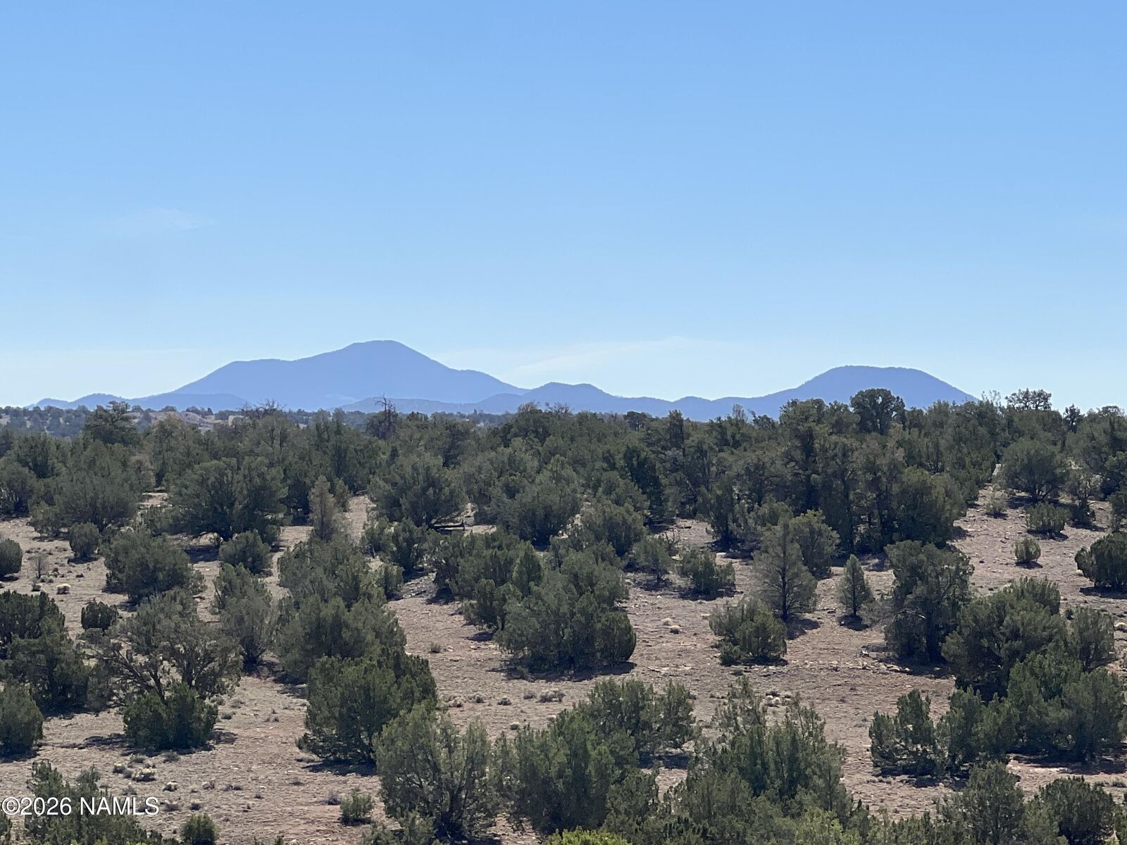 Property Photo:  6708 W Wild Honey Lot A - 10 Ac  AZ 86046 