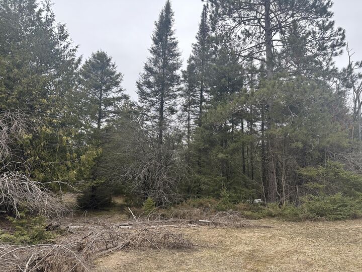 Property Photo:  4200 Bloom Road  MI 49707 