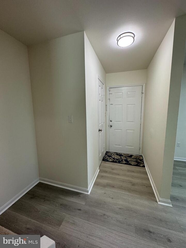 Property Photo:  723 Hemlock Street  MD 21804 