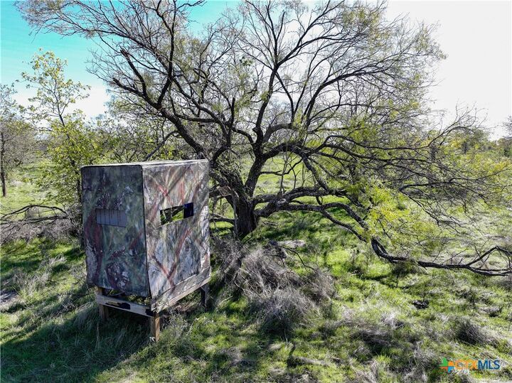 Property Photo:  Tbd Prairie Dell Road  TX 76571 