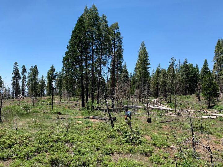 Property Photo:  1 Shaver Lake  CA 93602 