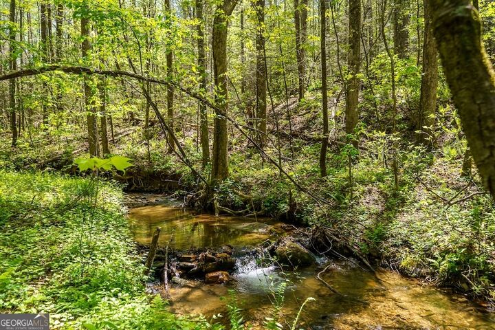 Property Photo:  0 Burnt Mountain Road  GA 30536 