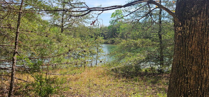 Property Photo: 100 Bluff View Drive TN 37327