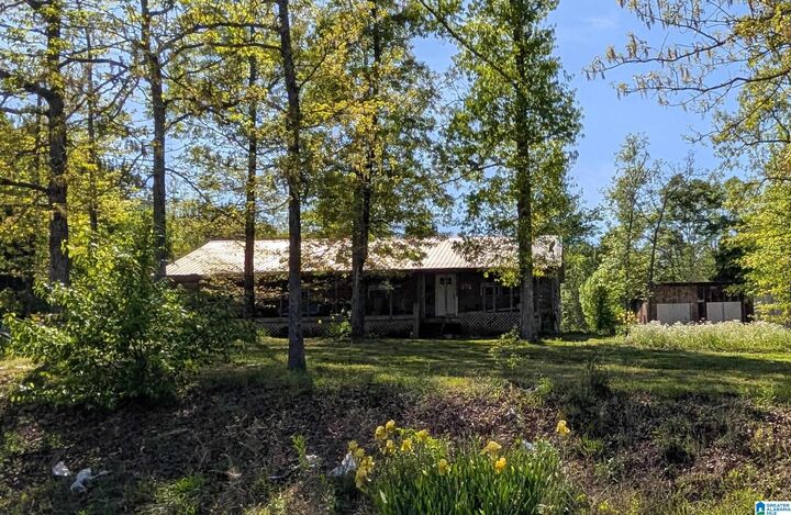 Property Photo:  2091 County Road 19  AL 36272 