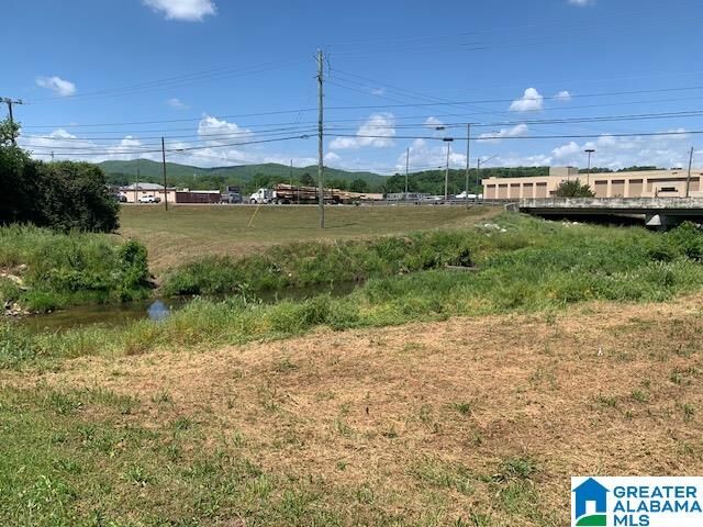 Property Photo:  0 Highway 78 1  AL 36203 