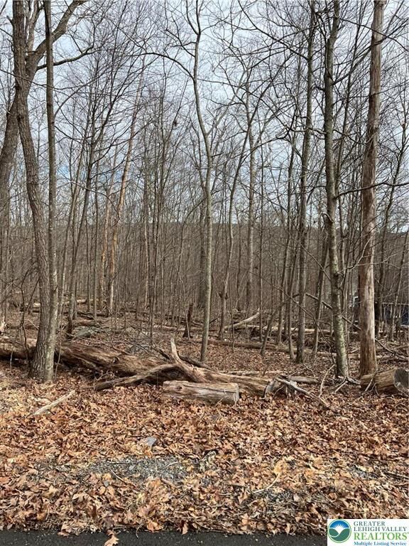 Property Photo:  535 Maxatawny Drive  PA 18347 